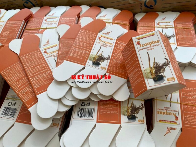 In hộp giấy hình lục giác - gia công cấn bế theo file - In Kỹ Thuật Số Since 2006