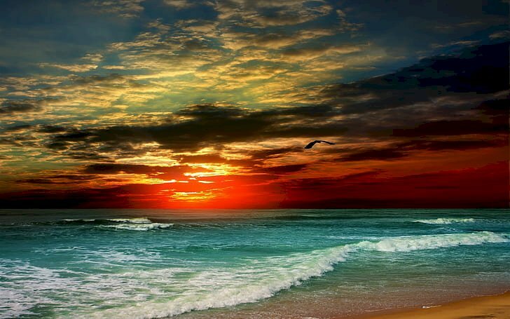 Tranh phong cảnh biển khi hoàng hôn xuống