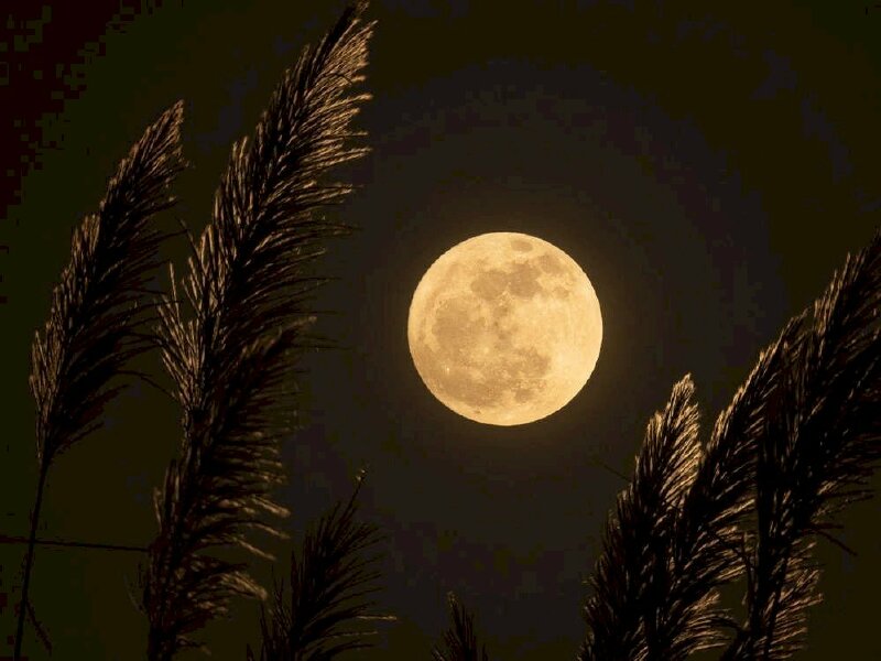  Tranh phong cảnh trung thu trăng to sáng đẹp nhất 