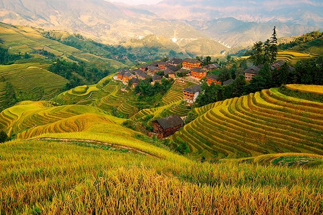 Tranh 3D dán tường phong cảnh ruộng bậc thang Tây Bắc