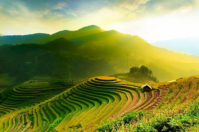 ranh dán tường 3D phong cảnh ruộng bậc thang tuyệt đẹp