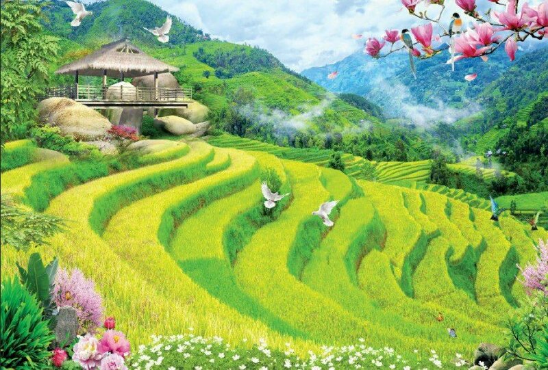 Tranh 3D phong cảnh ruộng bậc thang đẹp
