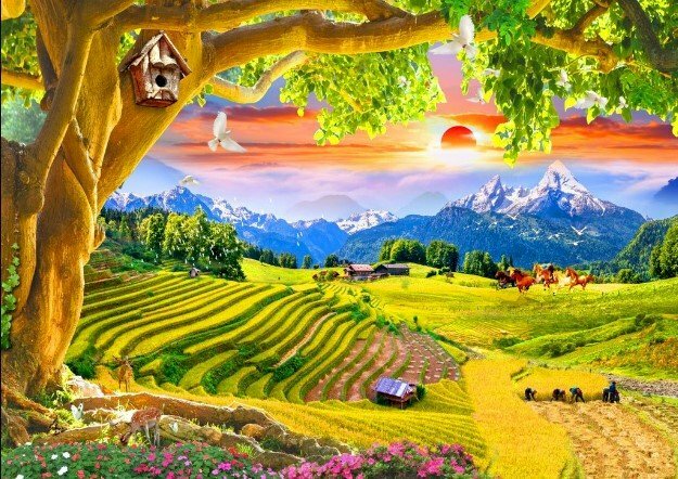 Tranh 3D dán tường phong cảnh ruộng bậc thang