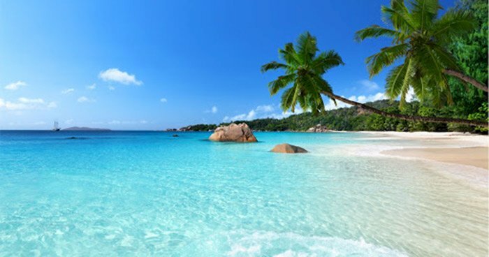 Tranh phong cảnh biển mùa hè