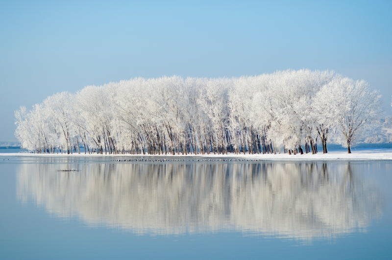 Tranh phong cảnh hồ nước mùa đông với hàng cây tuyết phủ trắng ven hồ thật đẹp