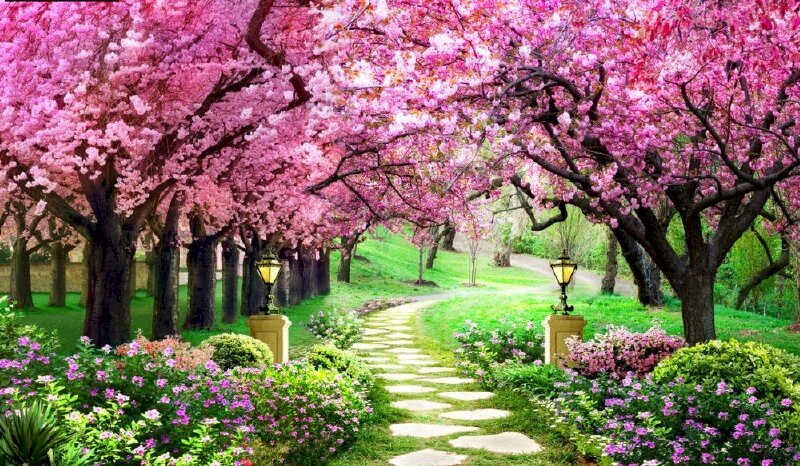 Tranh phong cảnh hoa 3D rực rỡ sắc màu