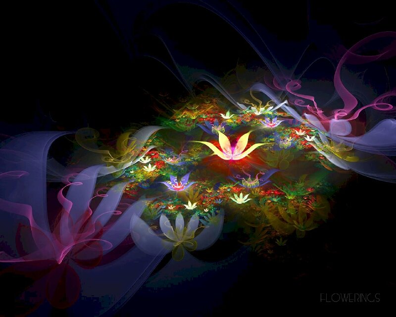 Tranh phong cảnh sen 3D