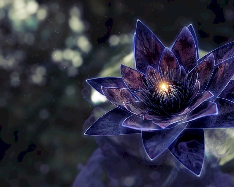 Tranh phong cảnh hoa sen màu đen huyền ảo