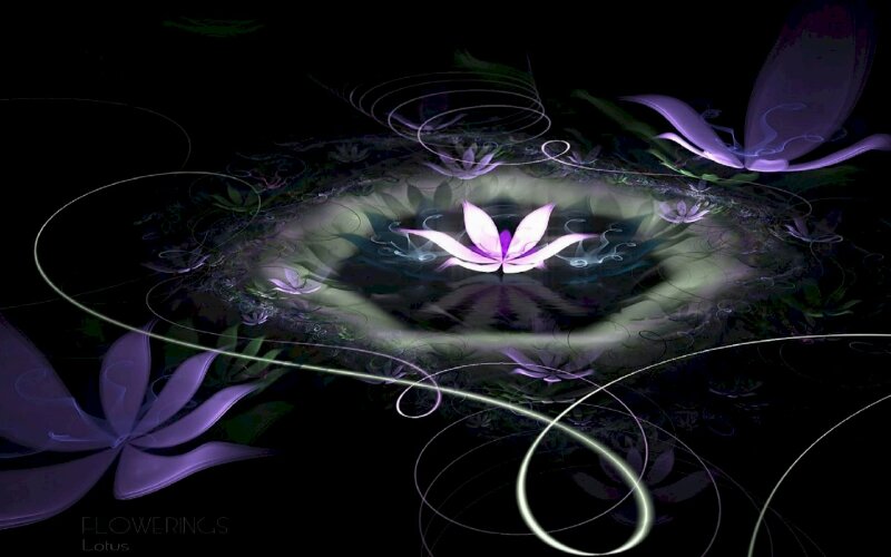 Tranh phong cảnh hoa sen được vẽ 3D