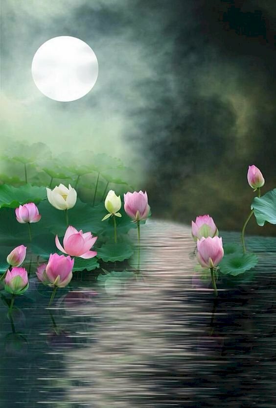 Tranh phong cảnh hồ sen dưới ánh trăng 3D