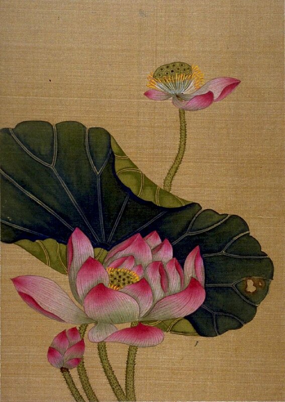 Tranh phong cảnh hoa sen đẹp phong thủy 