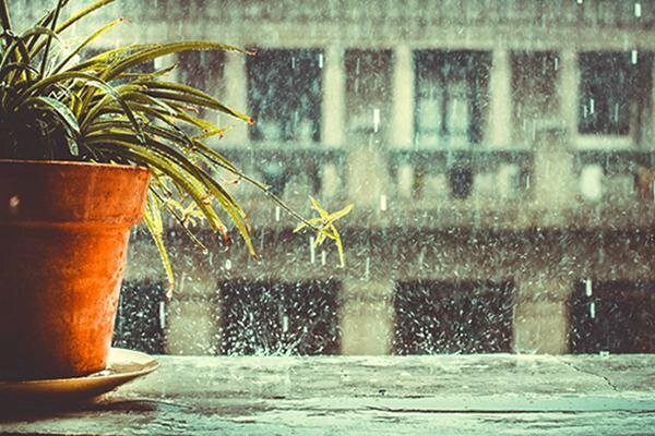 Tranh phong cảnh mưa buồn lãng mạn