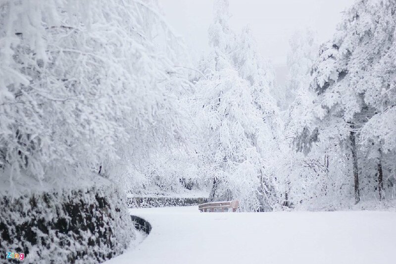 Cảnh thiên nhiên ngập tuyết trắng dùng in tranh trang trí tuyệt đẹp