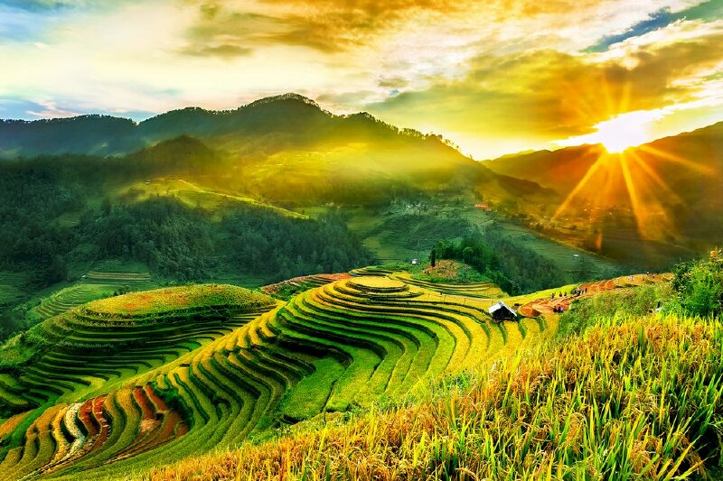 Phong cảnh thiên nhiên mùa hè thật đẹp thích hợp sử dụng in tranh treo tường trang trí