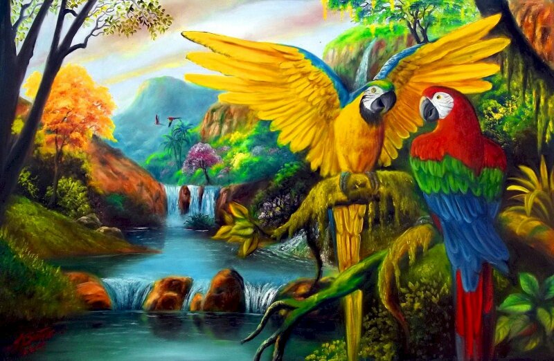 Tranh phong cảnh rừng núi tuyệt đẹp có 2 chú chim lượn quanh và 2 chú két nhiều màu sắc