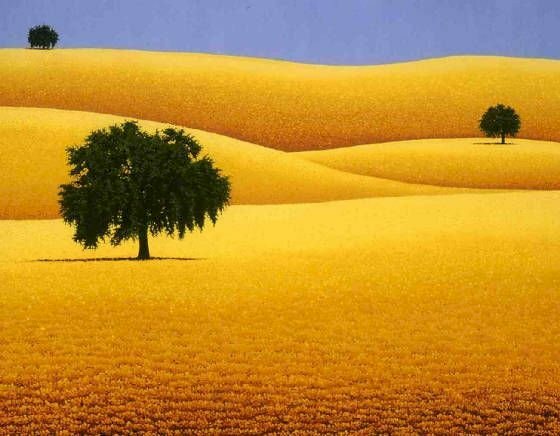 Tranh phong cảnh màu vàng cho người tuổi giáp tý 1984 mang lại may mắn tài lộc 