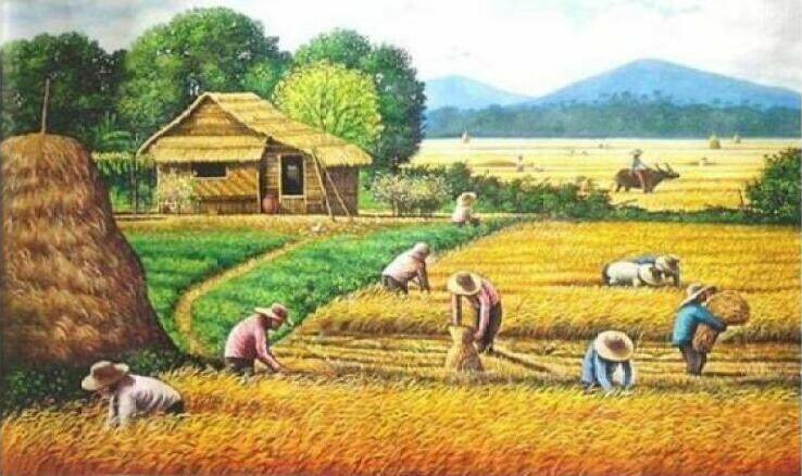 Tranh phong cảnh gặt lúa đơn giản mà đẹp ở làng quê