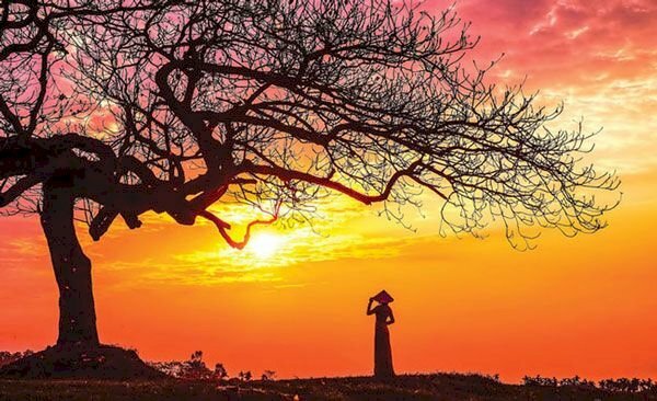 Tranh phong cảnh đẹp màu nâu hợp phong thủy cho người tuổi giáp tý