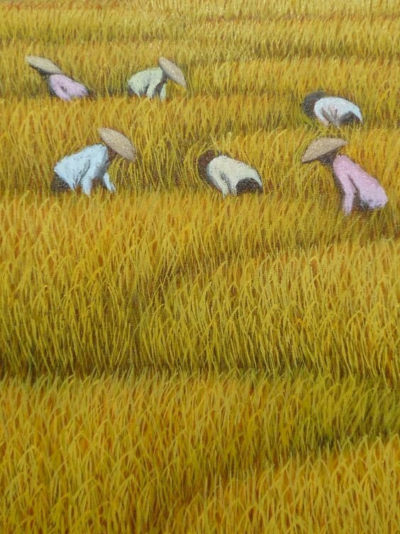 Tranh vẽ phong cảnh gặt lúa đơn giản mà đẹp