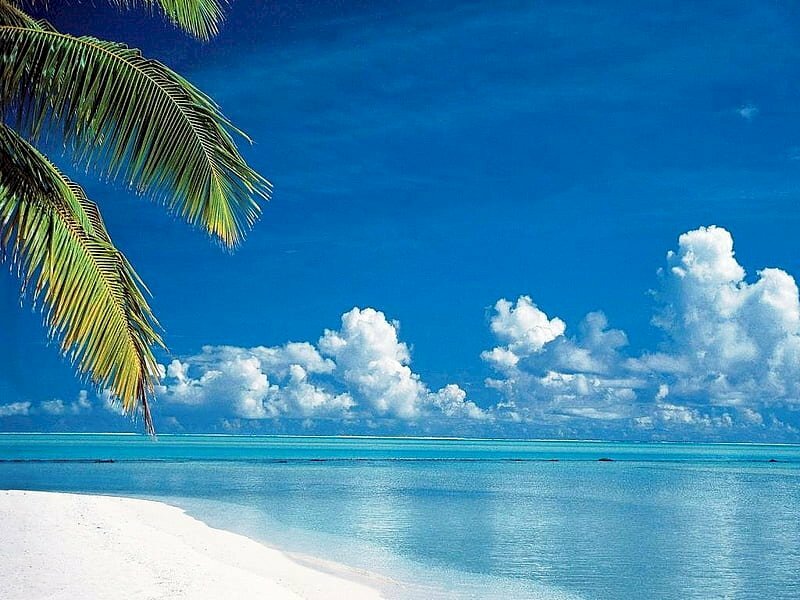 Tranh dán tường 3d cảnh biển đẹp đơn giản