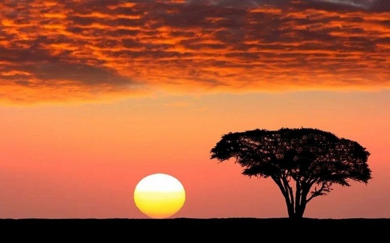 Tranh phong cảnh buổi chiều hoàng hôn màu nâu cho người tuổi giáp tý mang lại cảm giác ấm áp và tươi trẻ