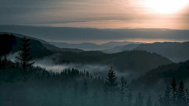 Tranh phong cảnh rừng cây núi thiên nhiên rậm rạp 