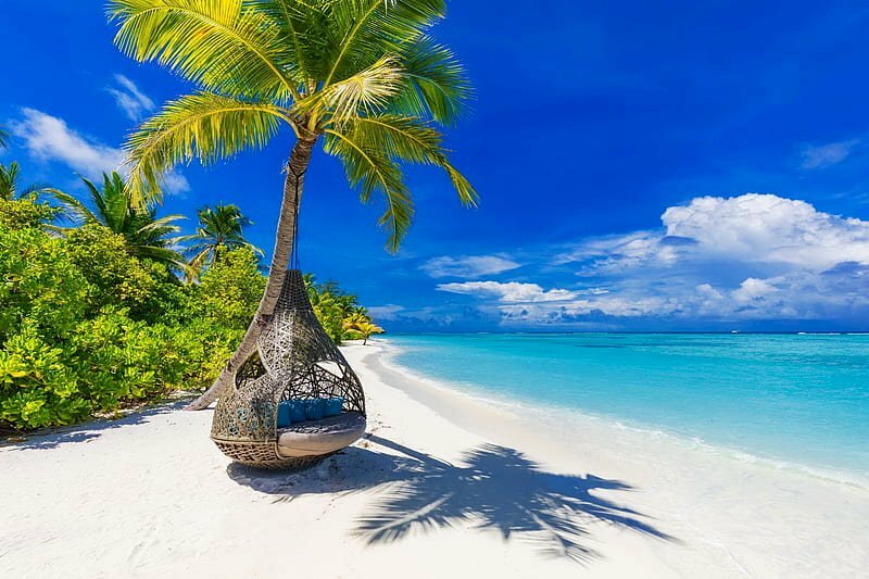 Tranh dán tường 3d cảnh biển chill nhất