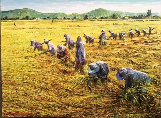  Tranh sơn dầu cảnh gặt lúa của bà con nông dân