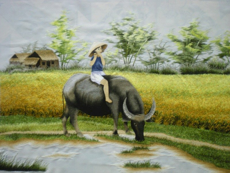 Tranh phong cảnh làng quê Việt Nam, đồng lúa chính vàng, con trâu đang ăn cỏ hợp phong thủy cho người tuổi giáp tý