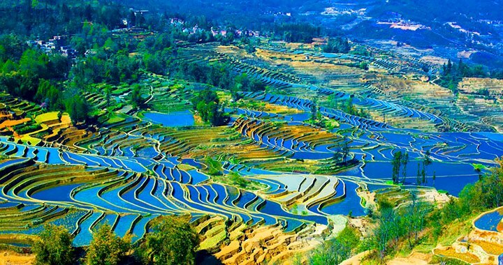 Tranh phong cảnh miền quê sông nước hợp phong thủy cho người mệnh thủy