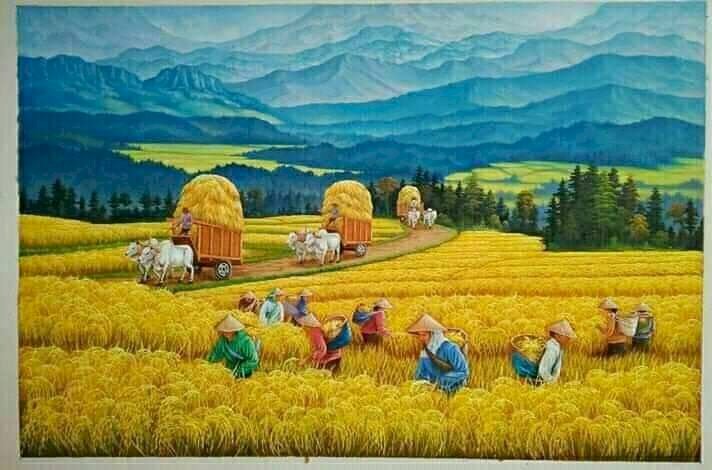 Tranh phong cảnh đồng lúa mênh mông, bác nông dân gặt lúa, xe trâu kéo lúa về nhà
