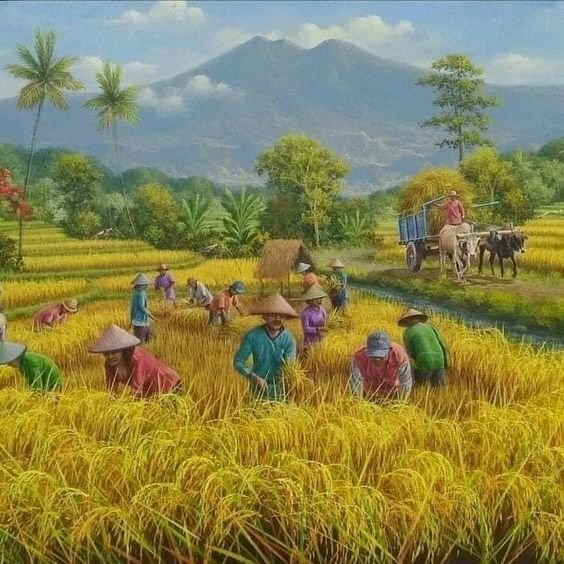 Tranh phong cảnh bà con gặt lúa