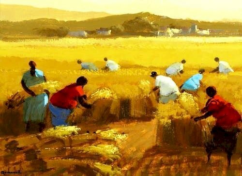 Tranh vẽ nghệ thuật phong cảnh lúa chín vàng, người nông dân đang gặt lúa