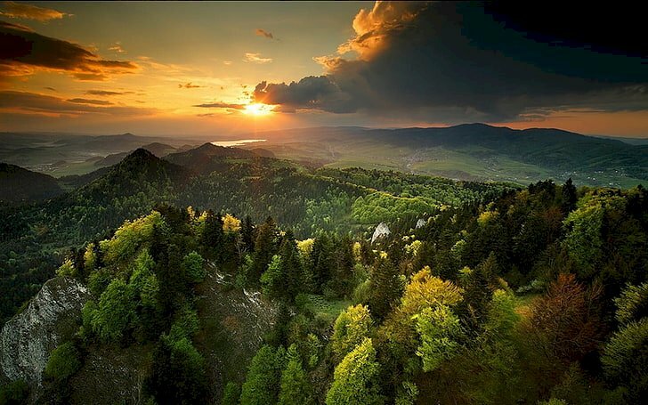 Tranh phong cảnh rừng cây đẹp nhìn từ trên cao xuống 