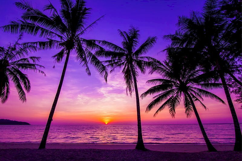 Tranh dán tường 3d cảnh hoàng hôn trên biển 