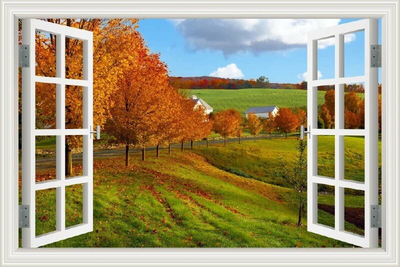 Tranh dán tường cửa sổ 3D khung cảnh thiên nhiên hàng cây lá đỏ mùa thu thật đẹp