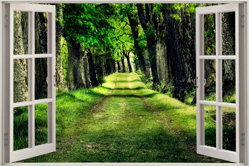 Tranh dán tường cửa sổ 3D phong cảnh rừng cây xanh