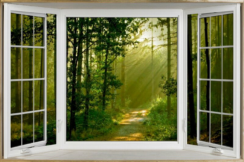 Tranh khung cửa sổ 3D và khung cảnh rừng cây xanh trong ánh nắng ban mai làm tranh dán tường đẹp cho không gian phòng khách