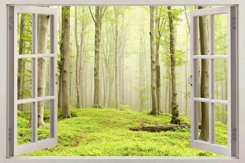 Tranh dán tường cửa sổ 3d với phong cảnh rừng cây xanh đẹp tinh khôi trong ánh nắng sớm mai