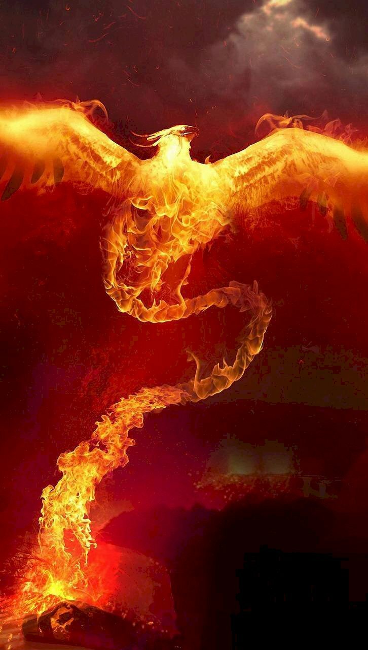 Tranh phong cảnh phượng hoàng lửa rực sáng