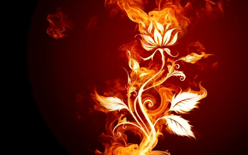 Tranh phong cảnh hoa lá cho người mệnh Hỏa