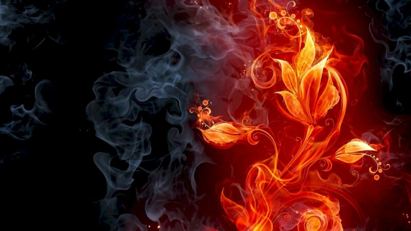 Tranh phong cảnh cảnh hoa lửa tuyệt đẹp cho người mệnh Hỏa