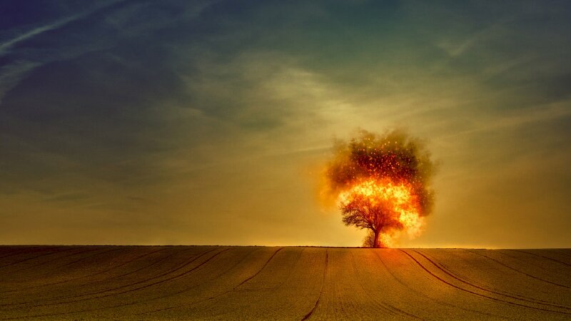 Tranh phong cảnh cây rực sáng lửa trên đồi thảo nguyên xanh