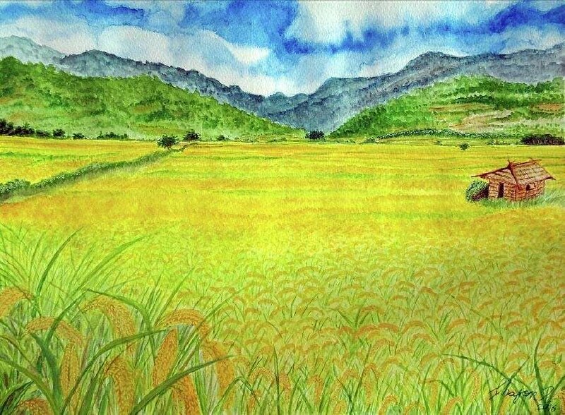 101 mẫu tranh phong cảnh đồng lúa đẹp nhất, chất lượng cao, tải miễn phí