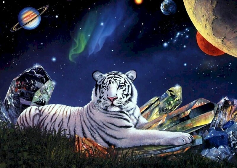 Tranh phong cảnh hổ trắng trên bãi cỏ và bầu trời nhiều sao