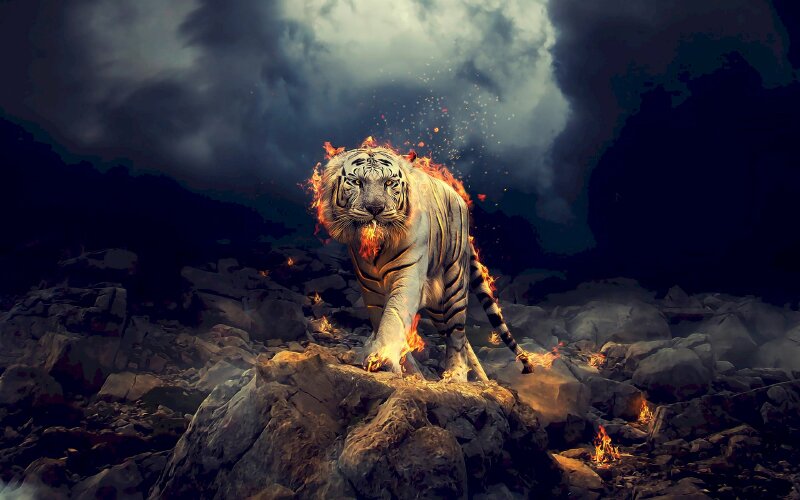 Tranh phong cảnh hổ dữ mạnh mẽ và cực chất