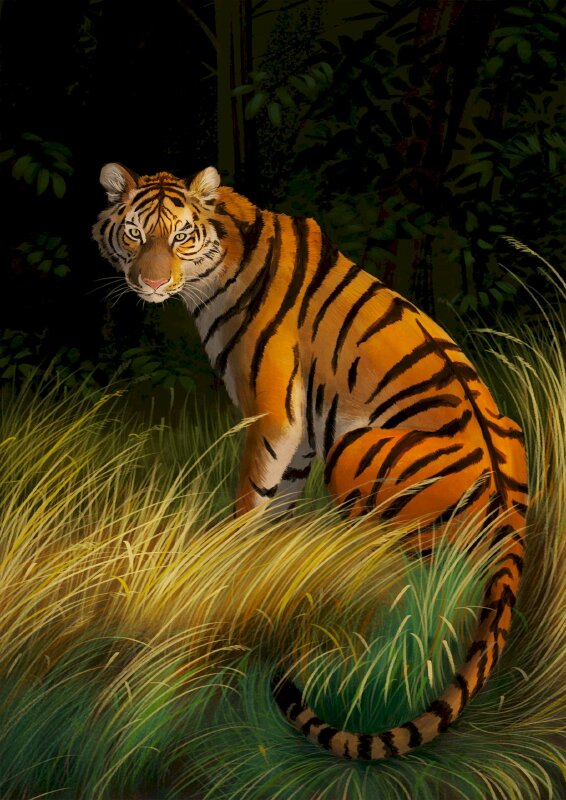 Tranh phong cảnh hổ bên bãi cỏ héo úa vàng