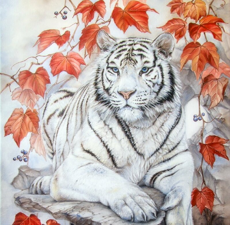 Tranh phong cảnh hổ trắng có đôi mắt xanh tuyệt đẹp