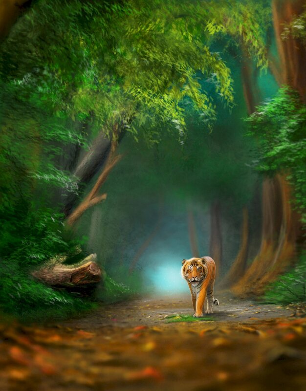 Tranh phong cảnh hổ dưới con đường rừng vắng vẻ