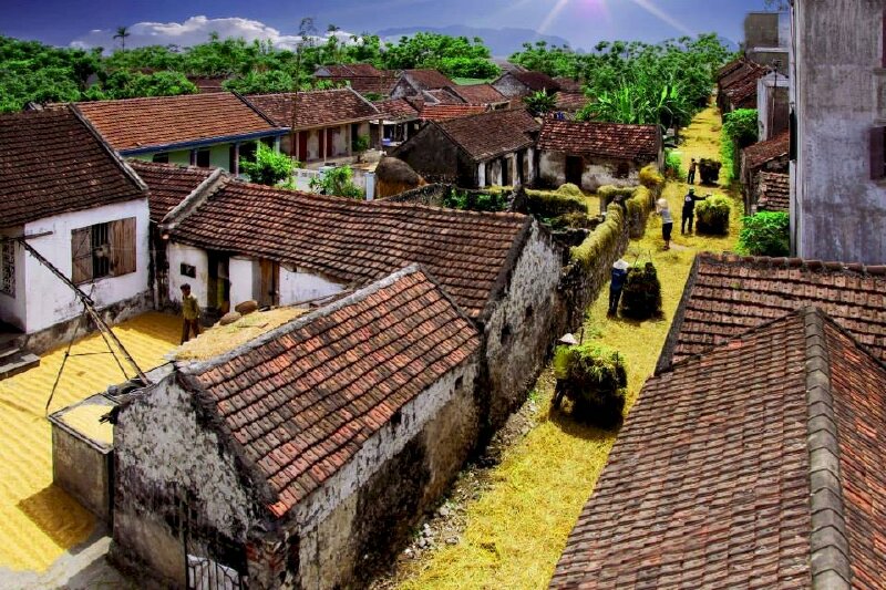 Tranh phong cảnh làng quê Ninh Bình thật bình yên với những nếp nhà ngói rêu phong